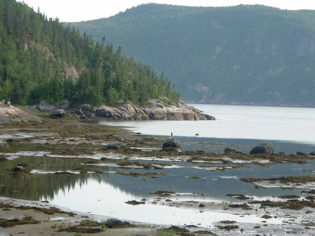 Saguenay River景点图片