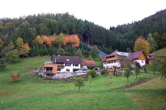 Gutach im Schwarzwald酒店住宿-Haus Haas