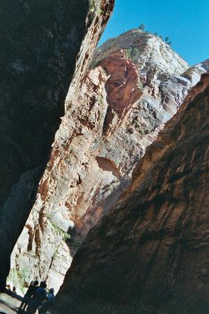 纽约湾海峡-锡安国家公园必去景点