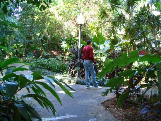 Sunken Gardens-圣彼德斯堡必去景点