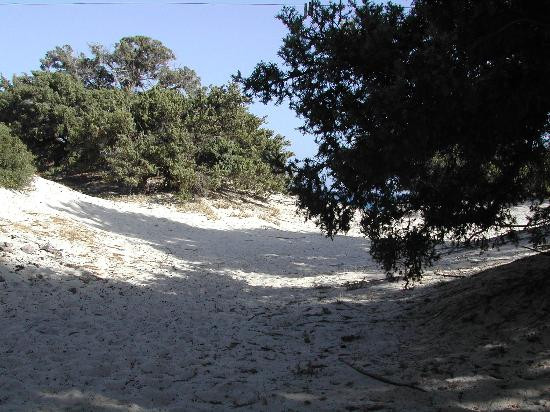 Chrissi Island-Ierapetra必去景点