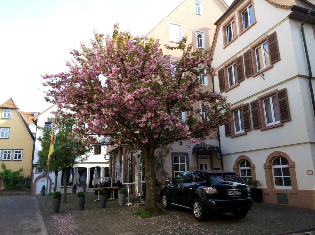 Hotel Lowensteiner Hof Haus am Neuplatz主图