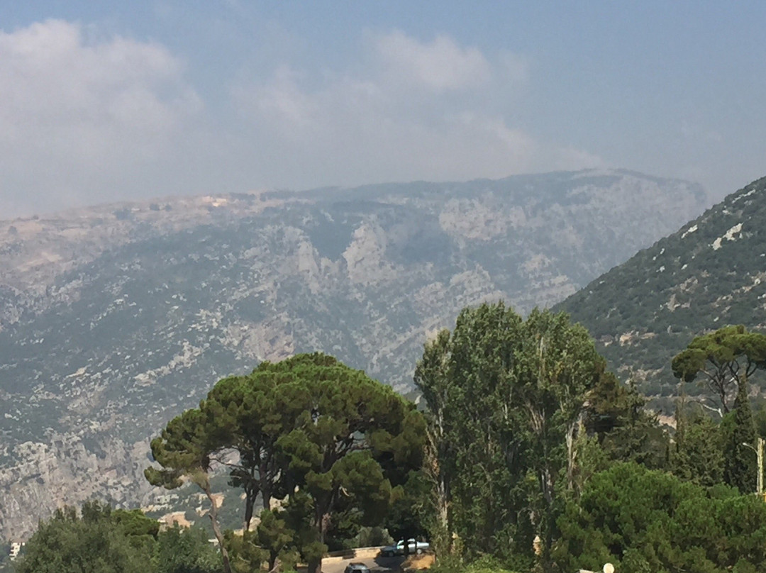 Douma餐馆和美食-Restaurant Esclapio