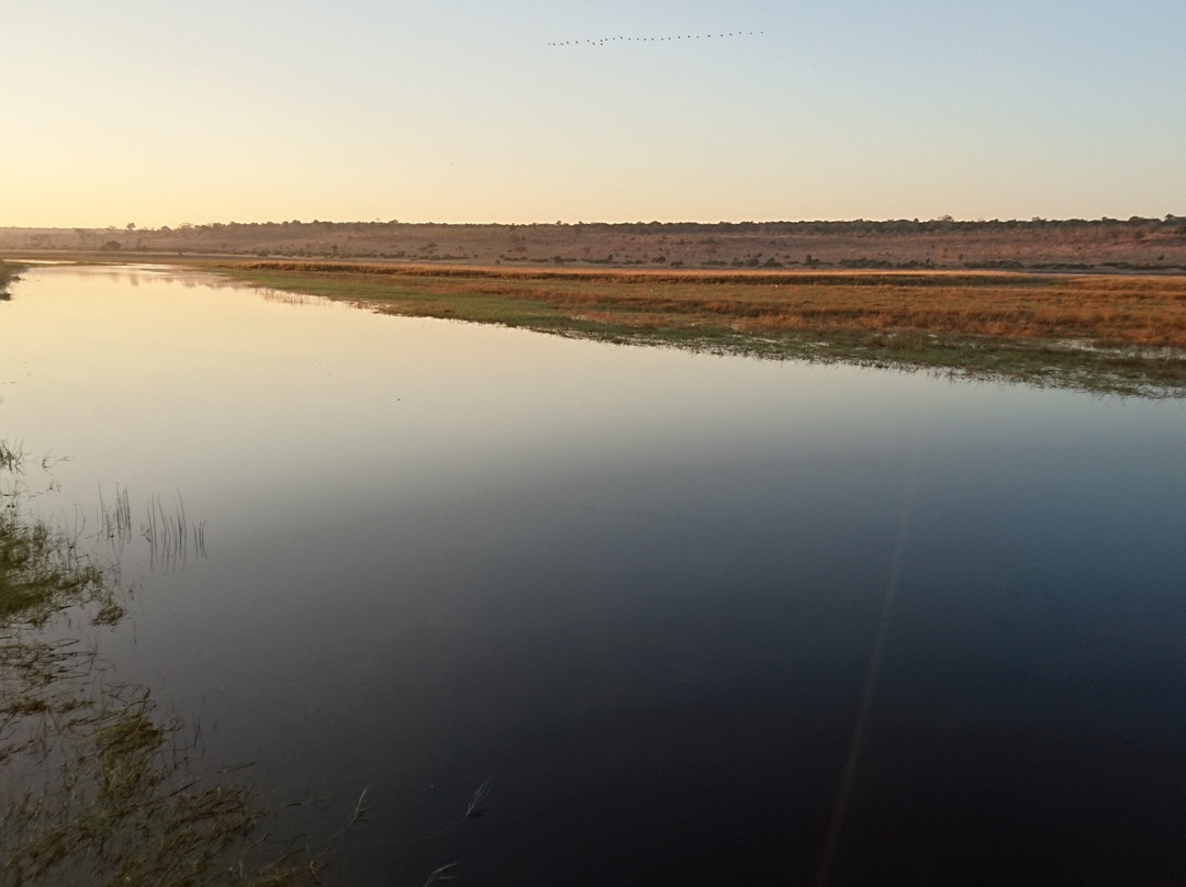 Camp Chobe Camping