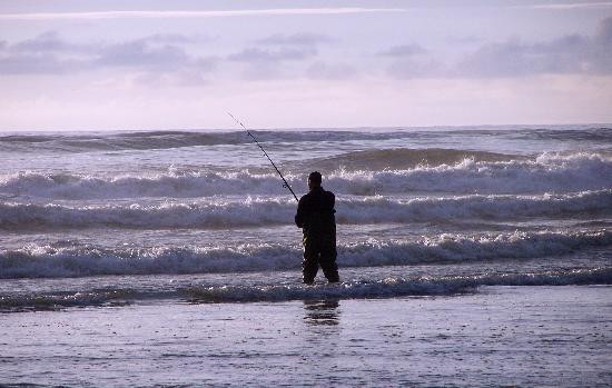 Naselle酒店住宿-Coastal Inn and Suites