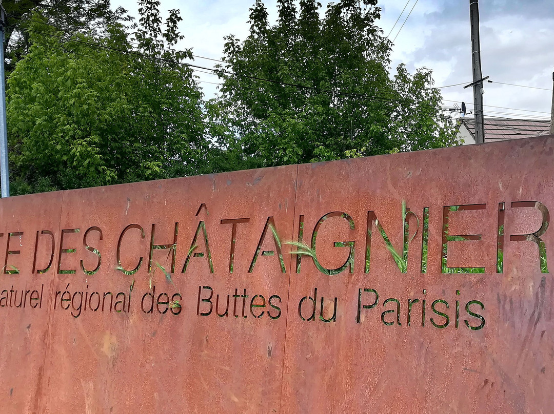 Butte des Châtaigniers景点图片