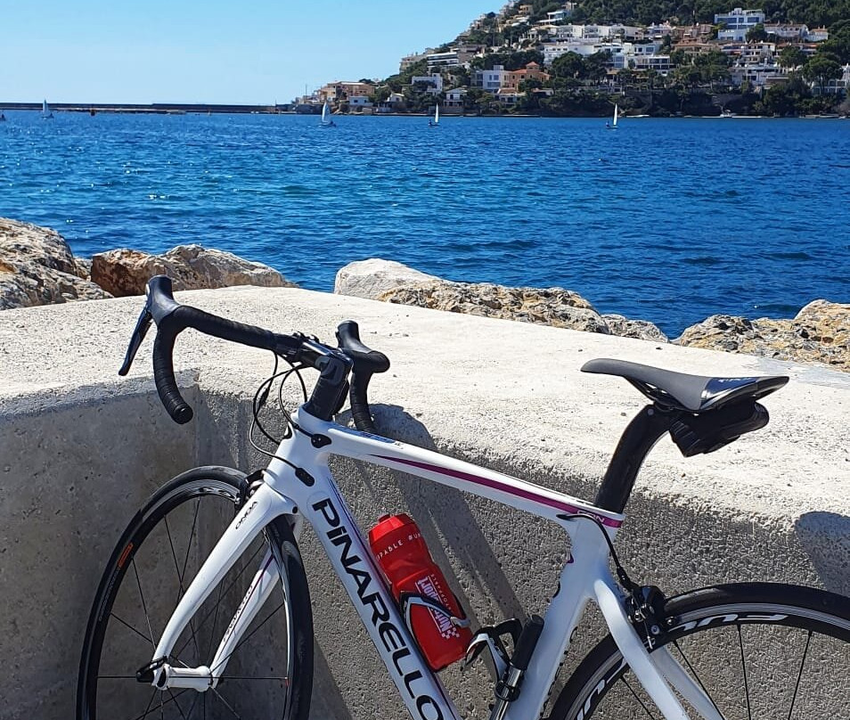 Why Not Cycling-Palmanova必去景点