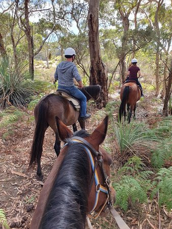 Tiger Trails-袋鼠岛必去景点