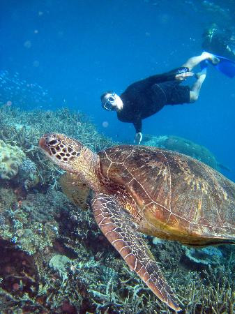 波长礁-道格拉斯港必去景点