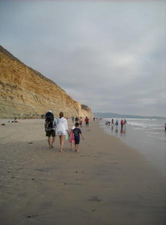 Torrey Pines State Beach-圣地亚哥必去景点