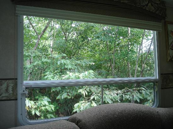 Fontainebleau State Park-Mandeville必去景点