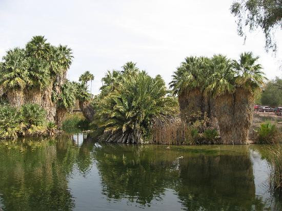 凤凰城动物园-凤凰城必去景点