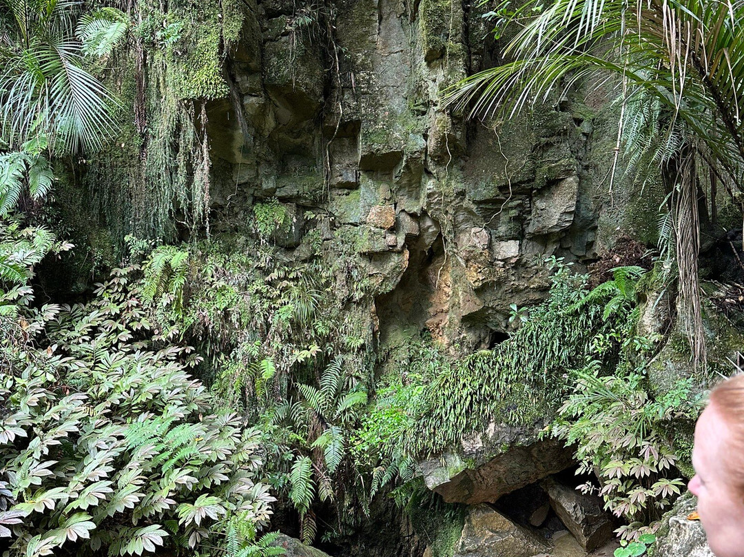 Waipu Caves Farm Park景点图片