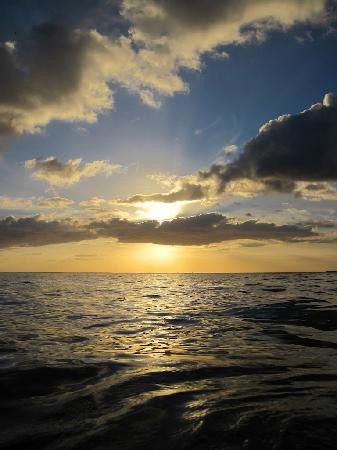 欧湖岛潜水之旅-火奴鲁鲁必去景点