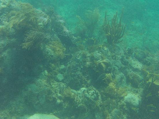 Playa La Chiva-Puerto Ferro必去景点