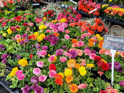 J's Farm Market-Bel Air必去景点