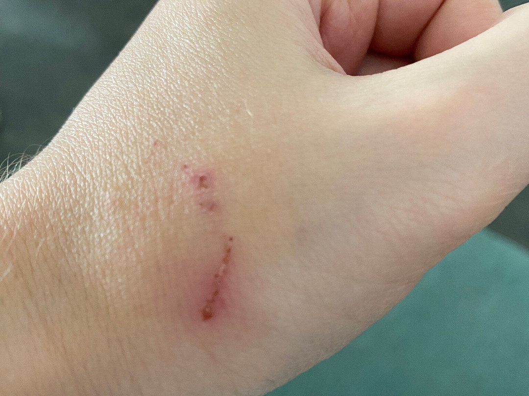 Zanzibar Kilosas Conservation-孥归必去景点