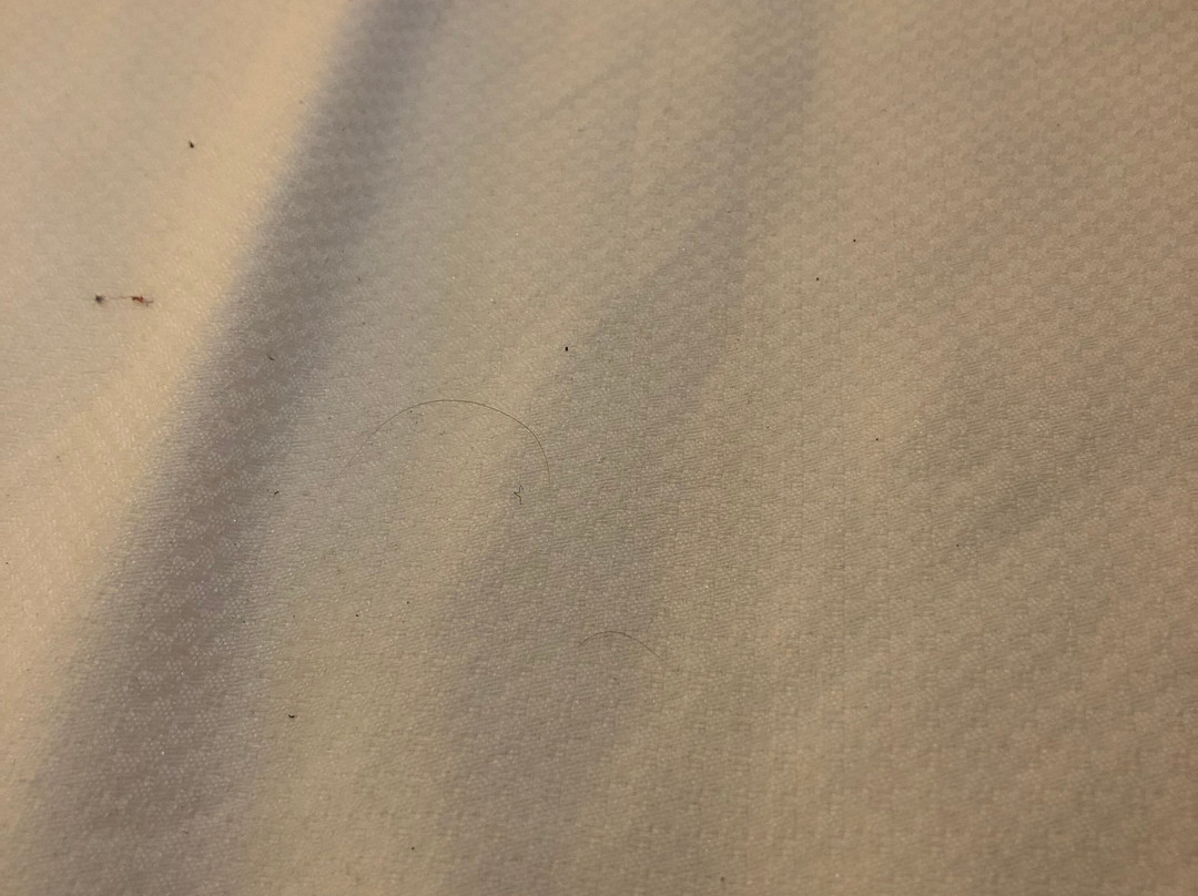 Comfort Inn Macon主图