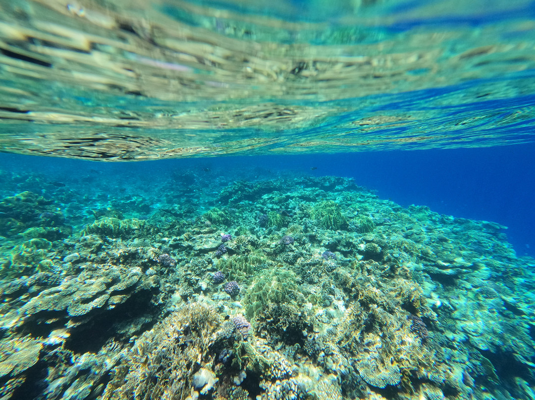 Capt.Faisal-Yanbu必去景点