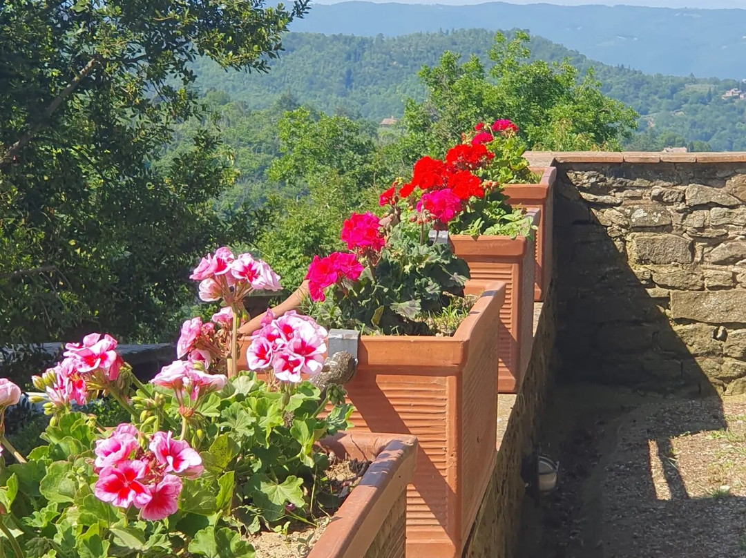 Montefioralle Winery-格雷韦伊恩基亚恩蒂必去景点