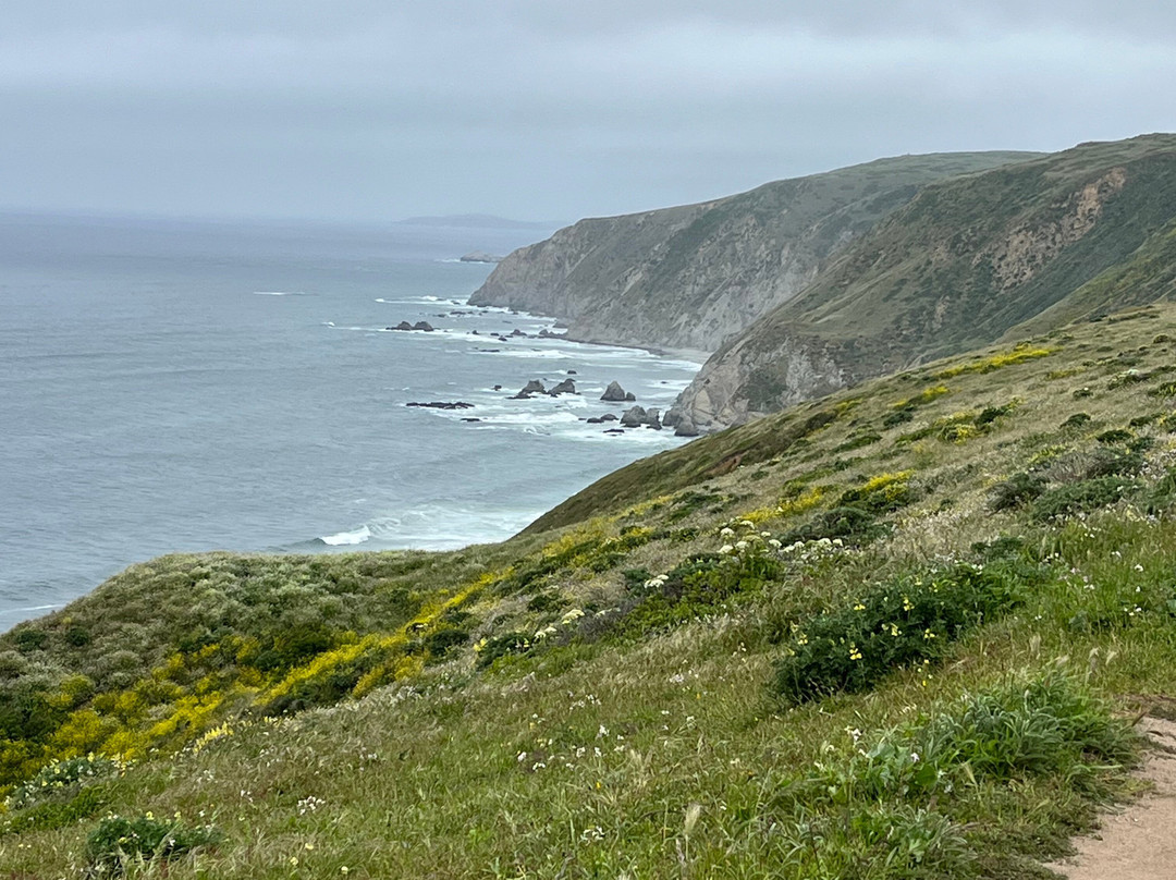 Tomales Point Trail景点图片