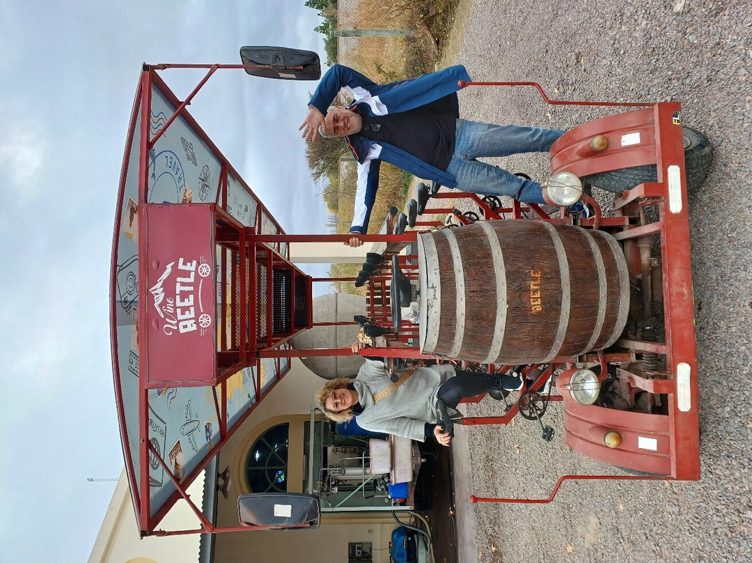 WineBeetle-Coquimbito必去景点