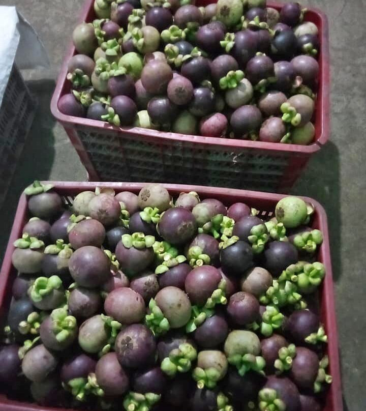 Seririt Market-Temukus必去景点