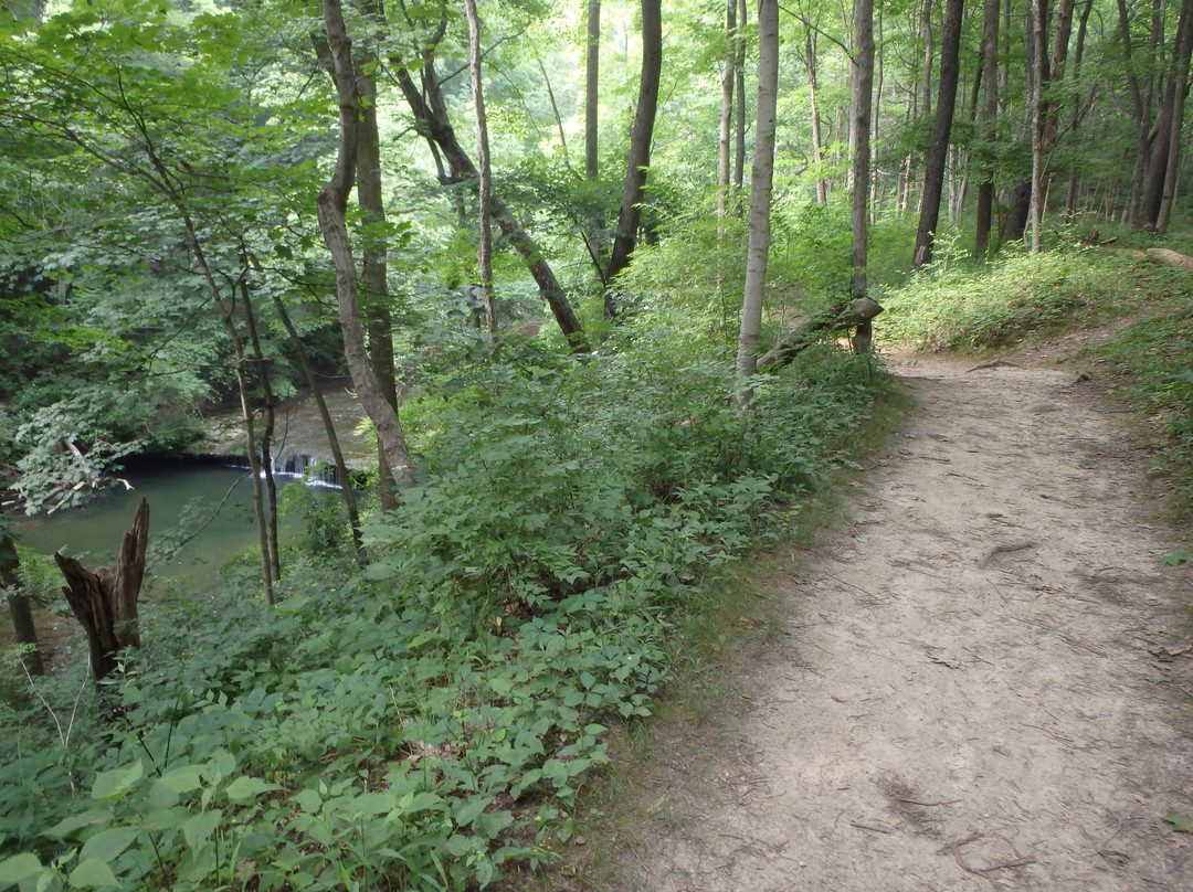 Glen Helen Nature Preserve-Yellow Springs必去景点