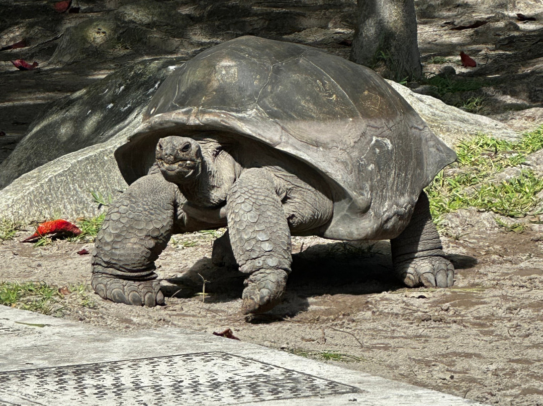 康斯丹艾菲莉亚度假村主图