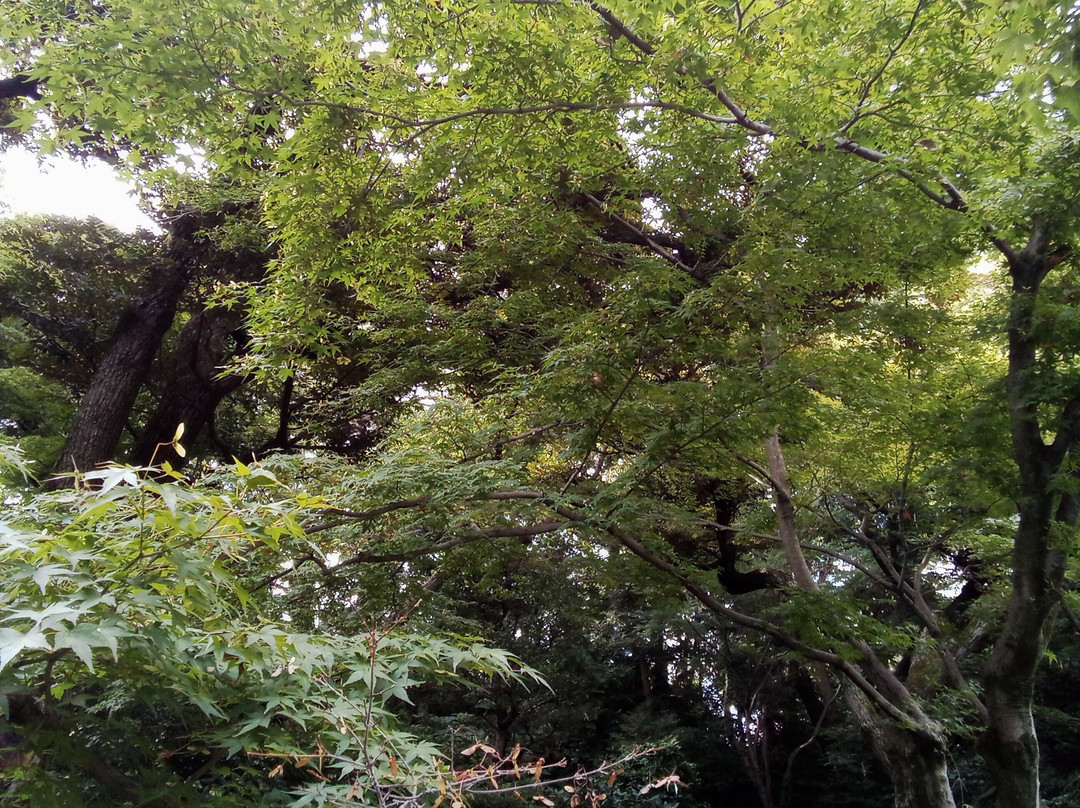 Ikedayama Park景点图片