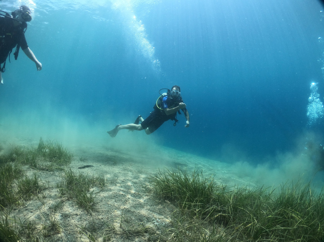 Argonauta Diving Resort景点图片