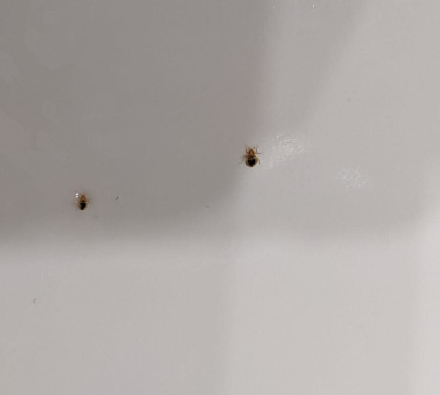 Hotel Rambla Figueres主图