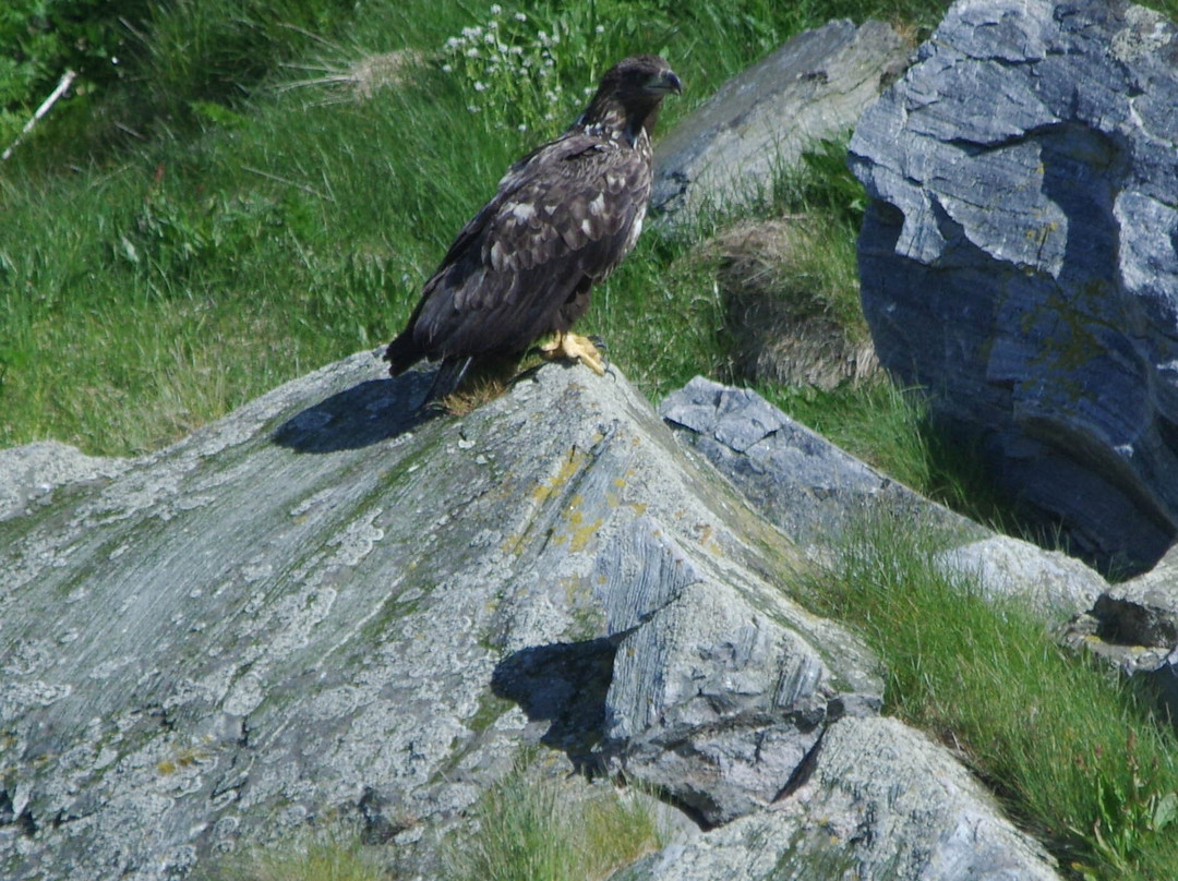 Bird Safari景点图片