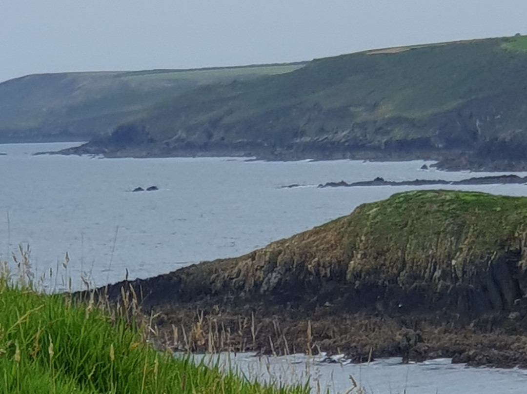 Ballycotton Island Lighthouse Tours景点图片