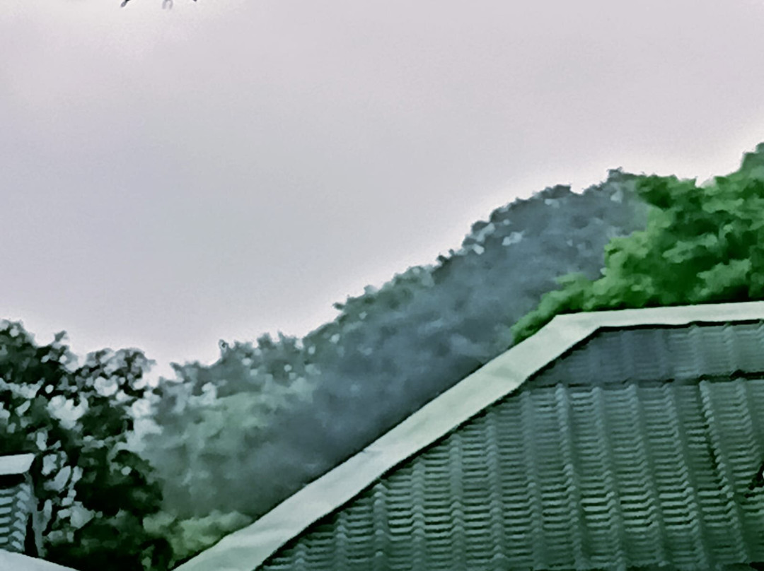 Sailani Resort主图