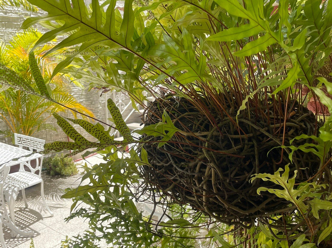 Hostal Paraiso主图