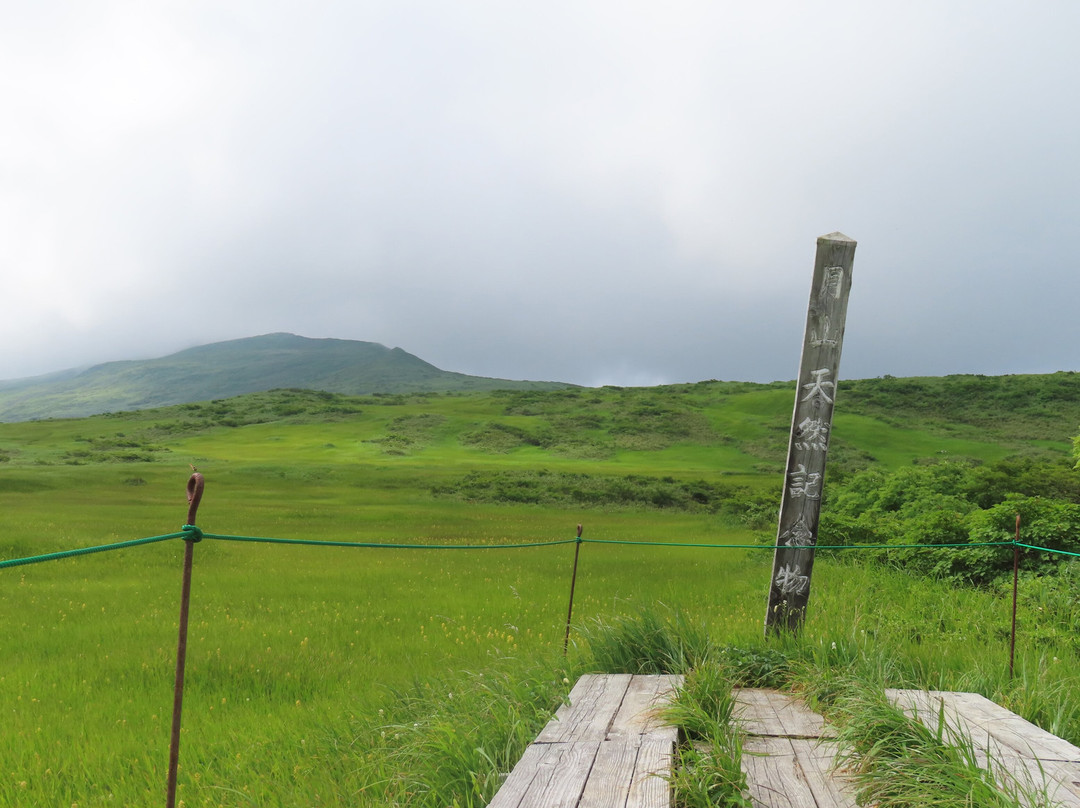 Midagahara Wetlands景点图片