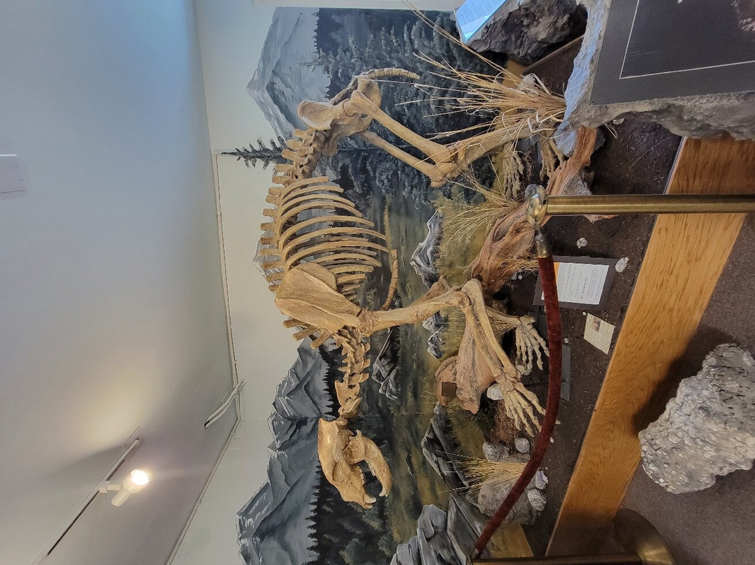 White Pine Public Museum-Ely必去景点