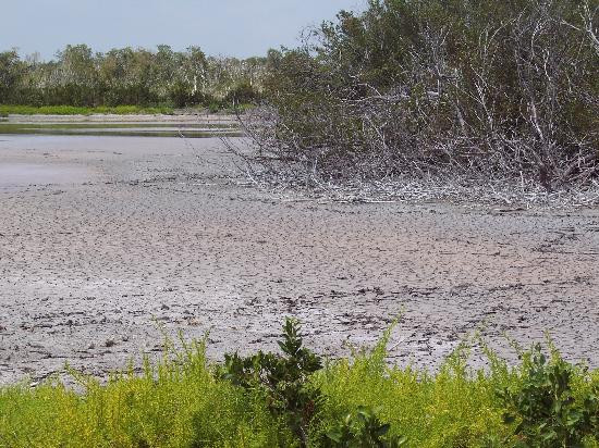 Eco Pond-大沼泽国家公园必去景点