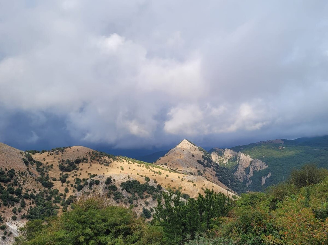 Sicily Horse Tours景点图片