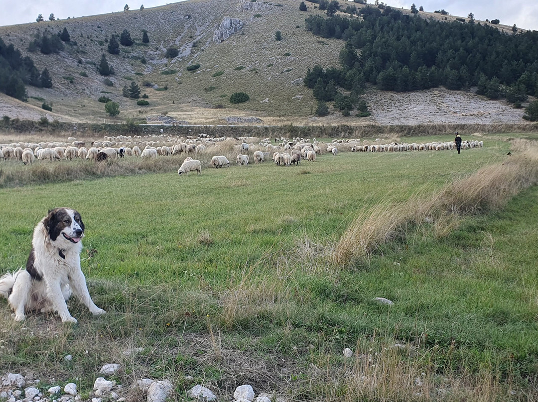 Herzegovina Hiking Adventure景点图片