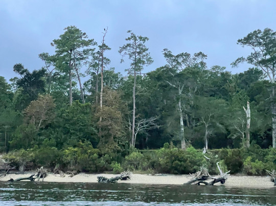 PonTiki Myrtle Beach