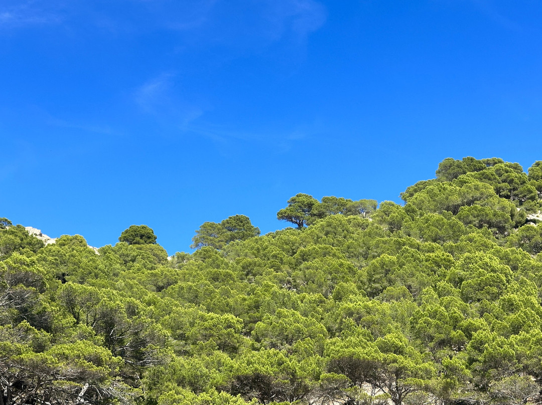 Mon d'Aventura-Pollenca必去景点