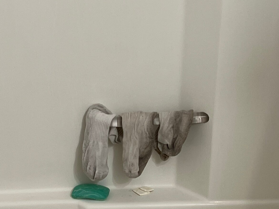 Williston Lake Resort主图