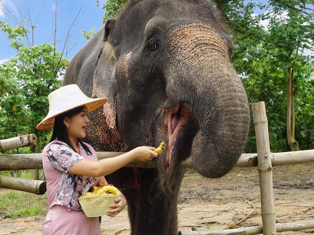 Thai Town of Elephant  Krabi景点图片