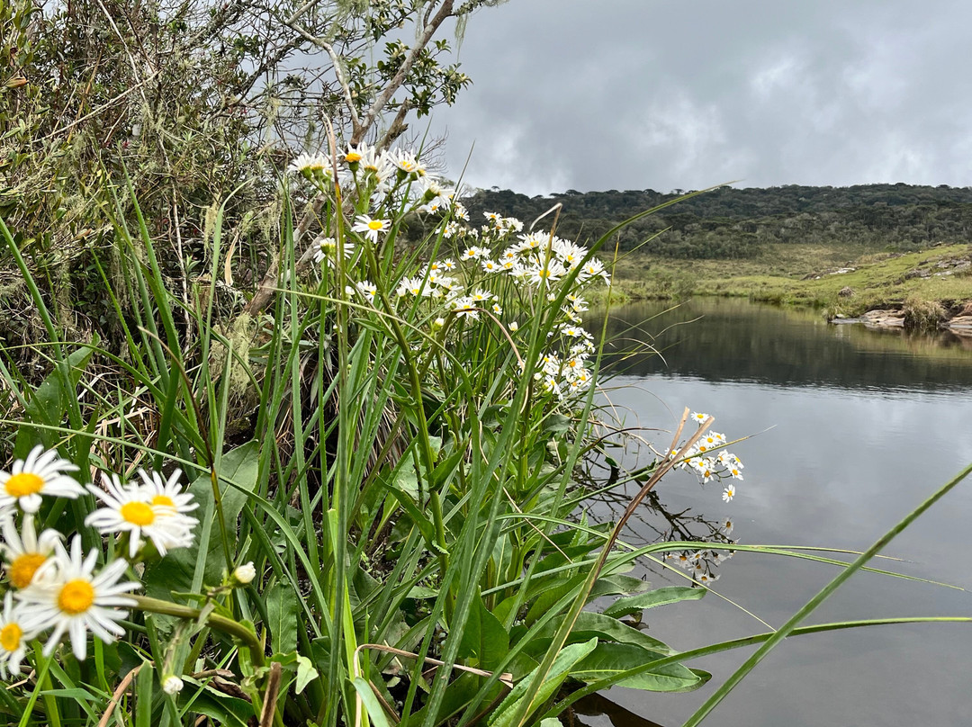 Trilhas do Sul Aventura-Tres Cachoeiras必去景点