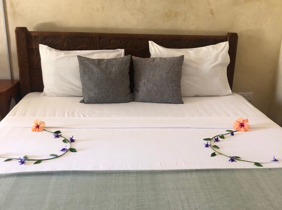 The Garden Zanzibar主图