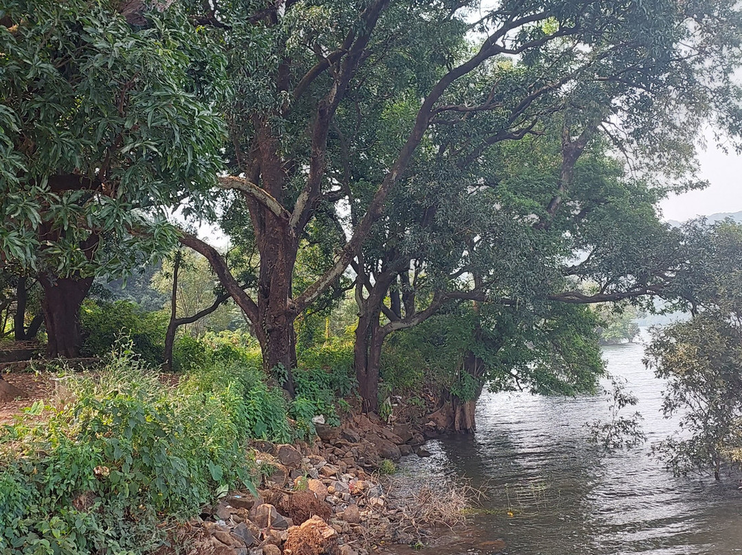 The Green Gate Resort主图