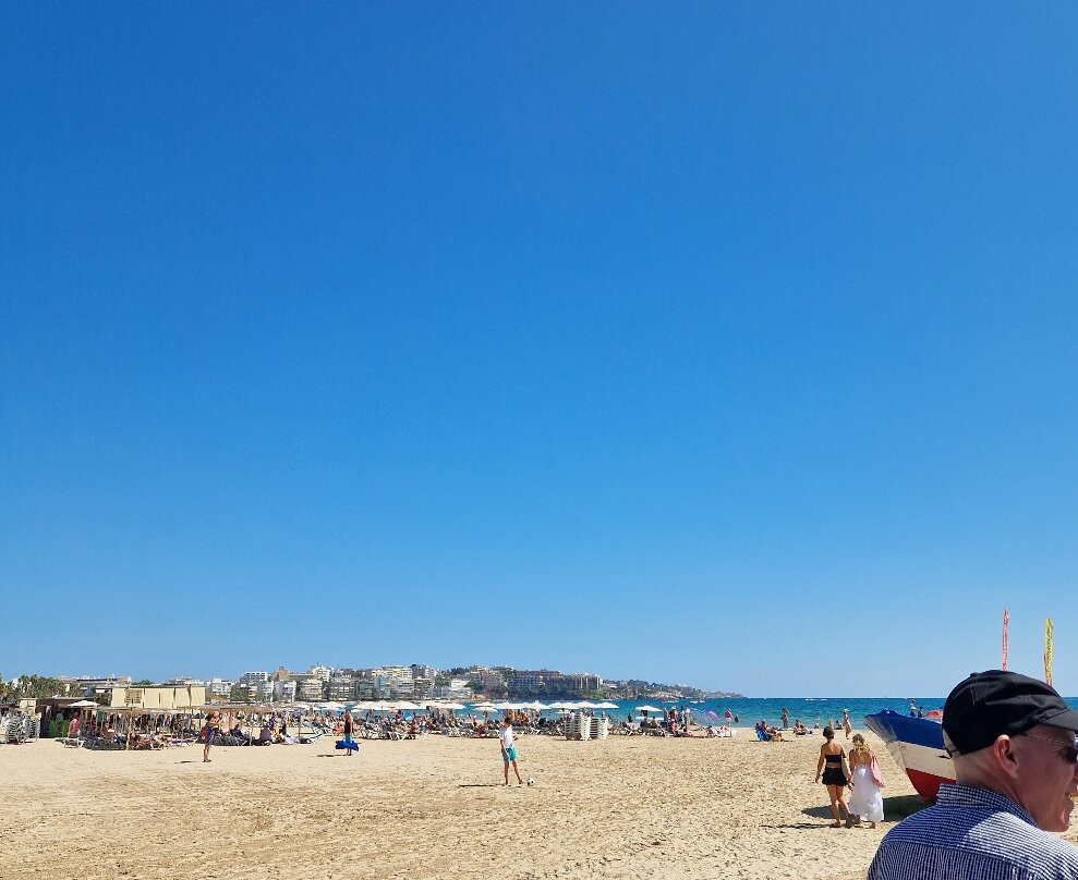 Playa de Ponent景点图片