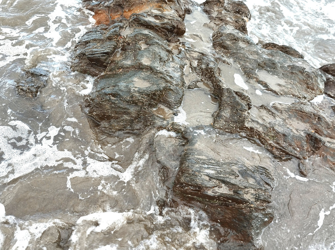 Playa de San Agustin-San Agustin必去景点